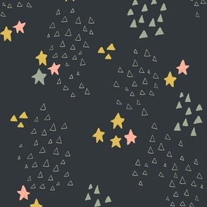 Boho Night Stars in Salmon Pink, Sage Green and Goldenrod Yellow on Warm Black