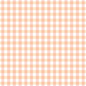 Delicate Peach Pink/Orange and Yellow Abstract Gingham Check Square Grid Coordinate