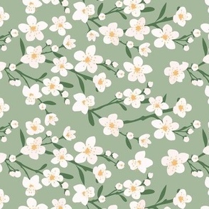 Romantic cherry blossom - springtime in Japan flowers and branches white orange on olive green 