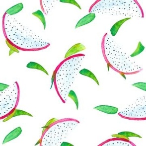 Watercolor dragon fruit slices on white background