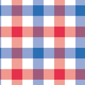 large gingham / red white & blue