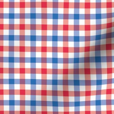 mini gingham / red white and blue