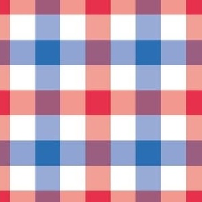 small gingham / red white & blue