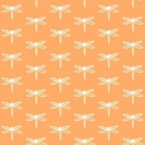 Dragonfly in orange background | Large scale