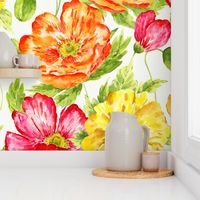 Large Half Drop  Vibrant Fresh Watercolor Icelandic Poppies with Dulux Vivid White Background