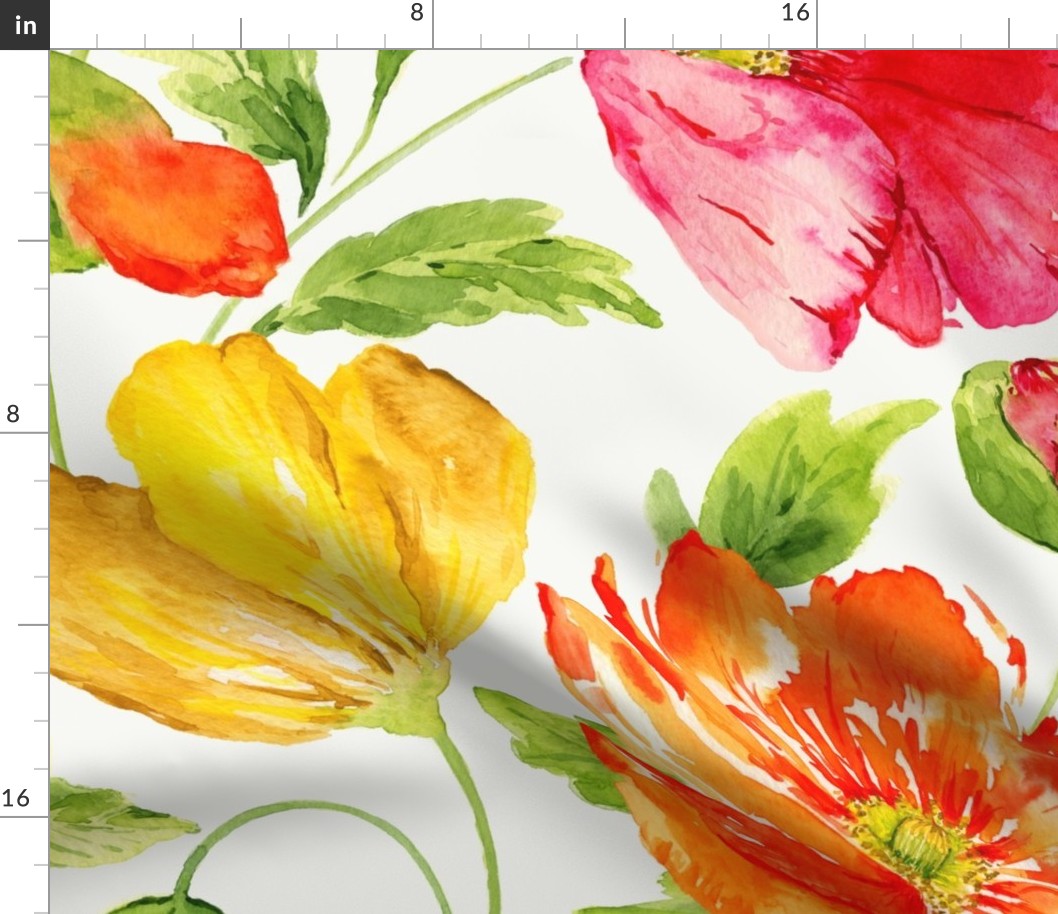 Large Half Drop  Vibrant Fresh Watercolor Icelandic Poppies with Dulux Vivid White Background