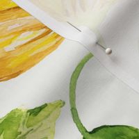 Medium Half Drop Vibrant Fresh Watercolor Icelandic Poppies with Dulux Vivid White Background