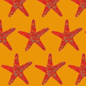 Red Starfish On Sunset Orange Coastal Decor