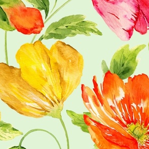 Large Half Drop Vibrant Fresh Watercolor Icelandic Poppies with Dulux Fresh Lime Half  Background