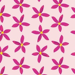 Frangipani Pink Flowers