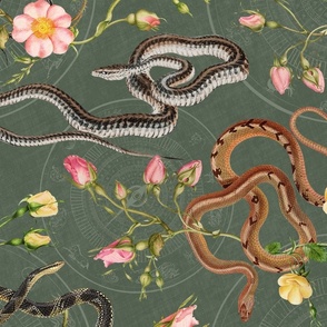 Snakes, roses and chinese calendar in antique sage green