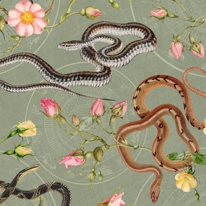 Snakes, roses and chinese calendar in sage green