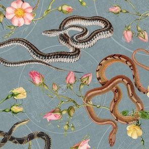 Snakes, roses and chinese calendar in slate blue