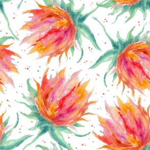 hand painted loose abstract watercolor elegant Australian native flora Protea Flower in pink orange red teal summer spring color palette,  modern floral watercolour painterly design with paint splatter drops