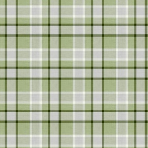 Textured plaid pattern, light gray and green background. 