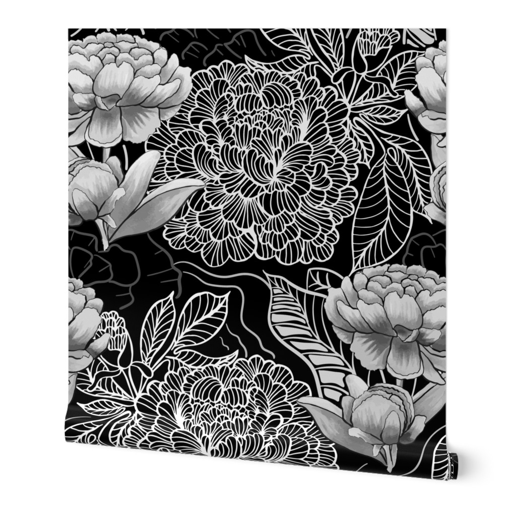  peon flowers, black and white