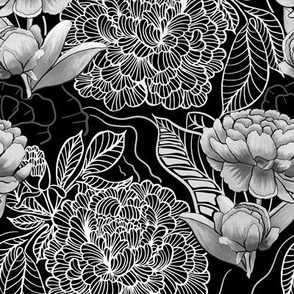  peon flowers, black and white