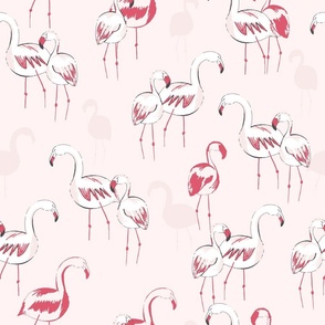 hand drawn flamingo- hand drawn-2024