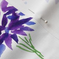 Delphinium Meadow- hand painted in watercolor delphinium flowers in blue purple lilac pink lavender magenta color palette over white background with abstract paint splatter dots