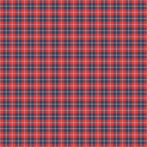 small buffalo tartan plaid / red white & navy