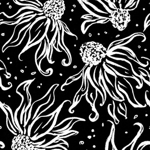Hand drawn inky scattered echinacea flower heads  in black and white