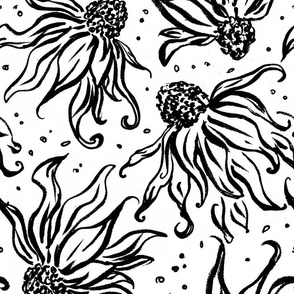 Hand drawn in ink large scattered abstract grungy Echinacea flowers in black and white, monochrome botanical floral modern fancy design
