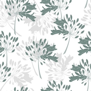 Big (XL) agapanthus flowers in grey and ash gray - green whimsical on white background