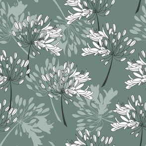 Big (XL) agapanthus flowers in ash grey - green, white whimsical on light teal green background