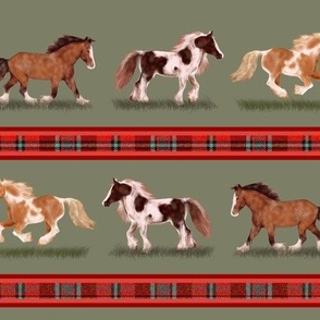 Custom Gypsy Vanner Stripe Sage Green with Red Plaid