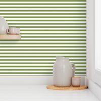 1/2 inch stripes white and sage green