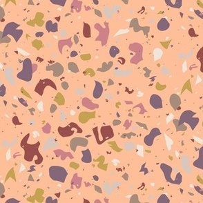 Terrazzo Labiation Peach Fuzz Pattern