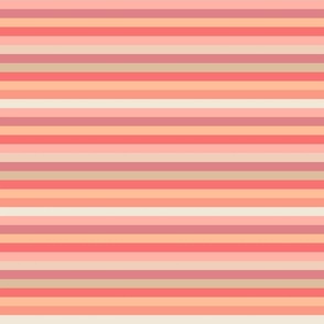 peach fuzz thin stripe - H - pantone color of the year 2024 - peach plethora color palette - gorgeous and cozy stripe wallpaper