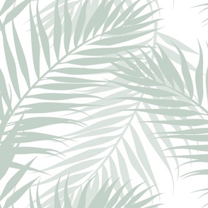 Paradise Palms - Palladian Blue/ White Wallpaper – New for 2024  