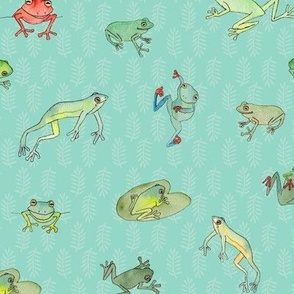 Frogs on Aqua