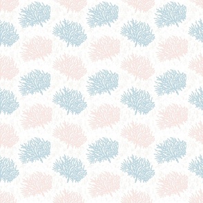 Coral in light blue and peach