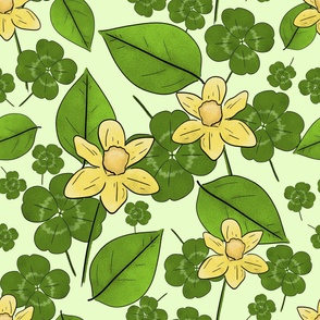 Daffodils and Clovers