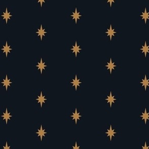 Golden yellow star slightly textured on a soft black backdrop (medium)