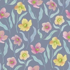Hellebores Watercolor Floral Print Pink and Yellow on Blue Gray