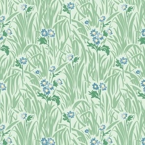 daisies among grass - blue daisies