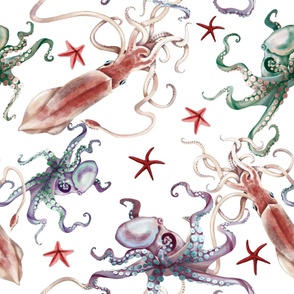 under the sea. Watercolor squid, octopus, starfish 1