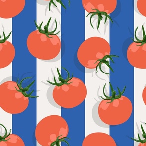 Little Tomato | XL on Blue Stripe