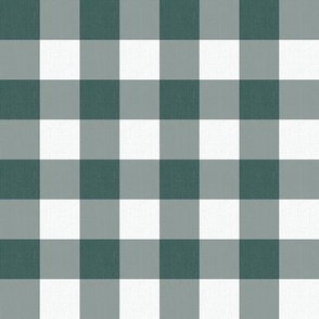 Twill Textured Gingham Check Plaid (1" squares) - Eucalyptus Leaf Green and White  (TBS197)