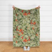 Jumbo nasturtium botanical painting motif, spring green and red wallpaper