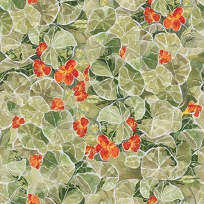 Jumbo nasturtium botanical painting motif, spring green and red wallpaper