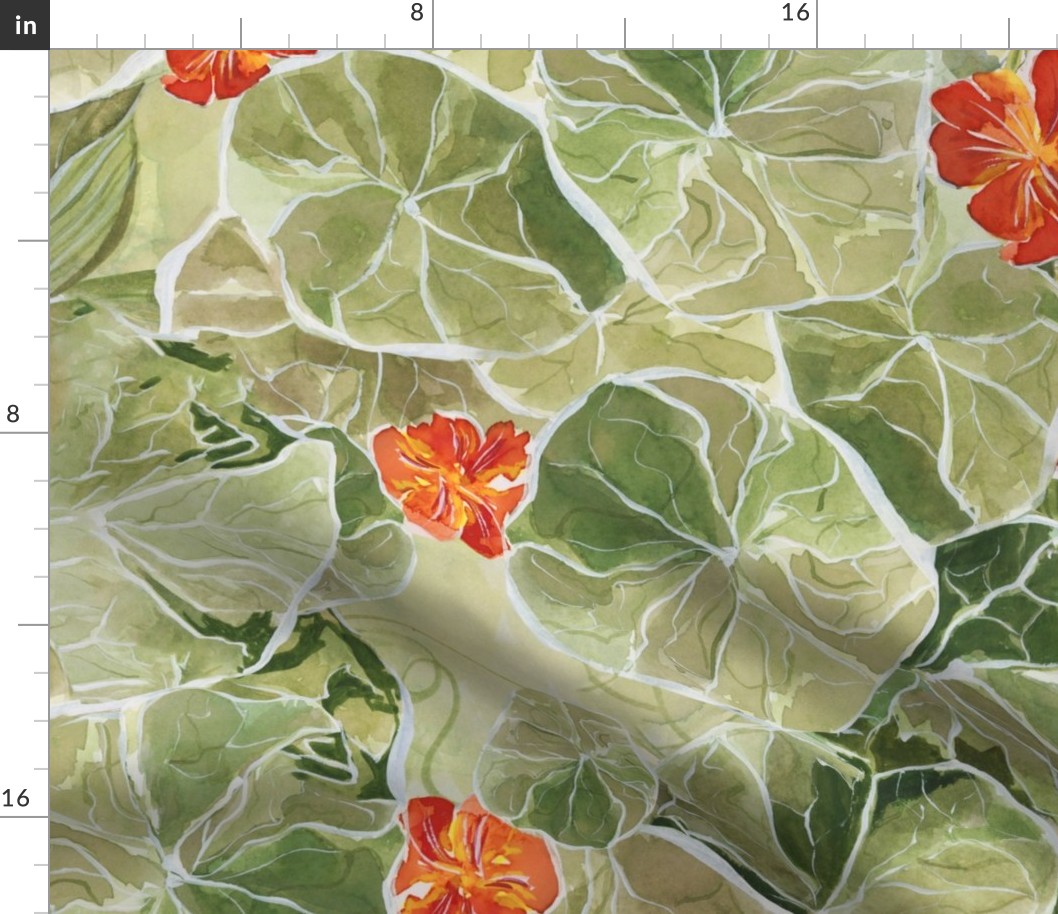 Jumbo nasturtium botanical painting motif, spring green and red wallpaper
