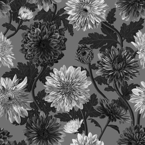 Marvelous Mums  Chrysanthemum Pattern in Gray