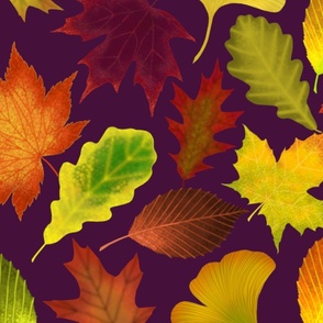 Autumn Mosaic Autumn Leaves in Purple