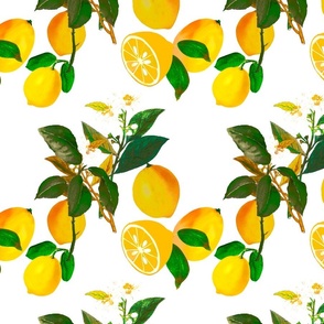 Summer, citrus ,lemo, fruit,birds pattern 