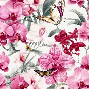 Pink Orchids and butterflies