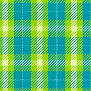 Boss Plaid Blue and Green/Large 12 SSJM24-A23